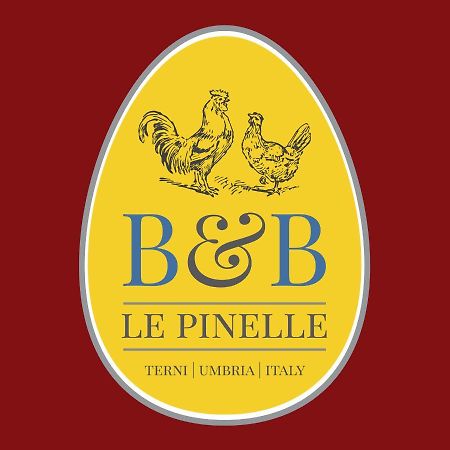 Le Pinelle Bed and Breakfast Terni Exteriör bild